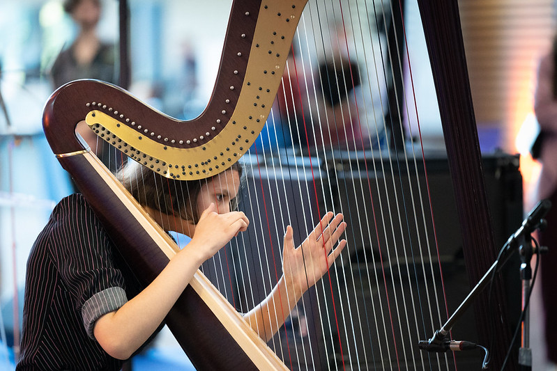 Harpe à ENSTA Paris