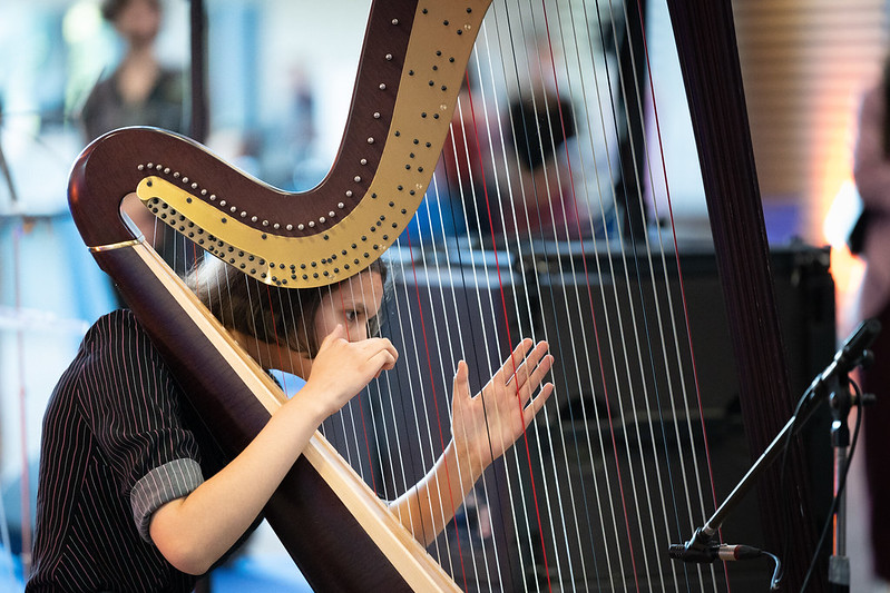 Harpe à ENSTA Paris
